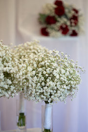 Baby's Breath Bouquet