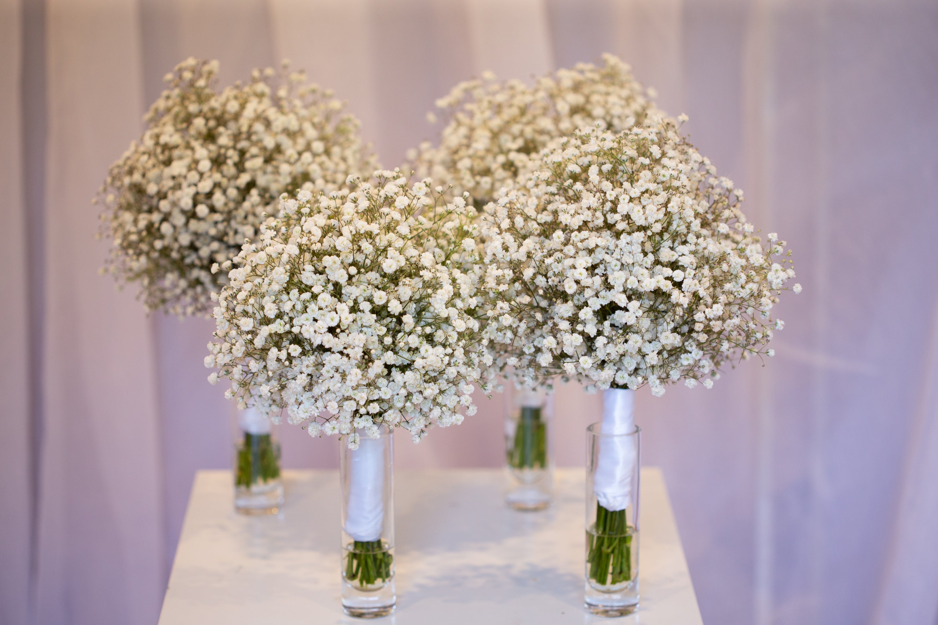 Baby's Breath Bouquet