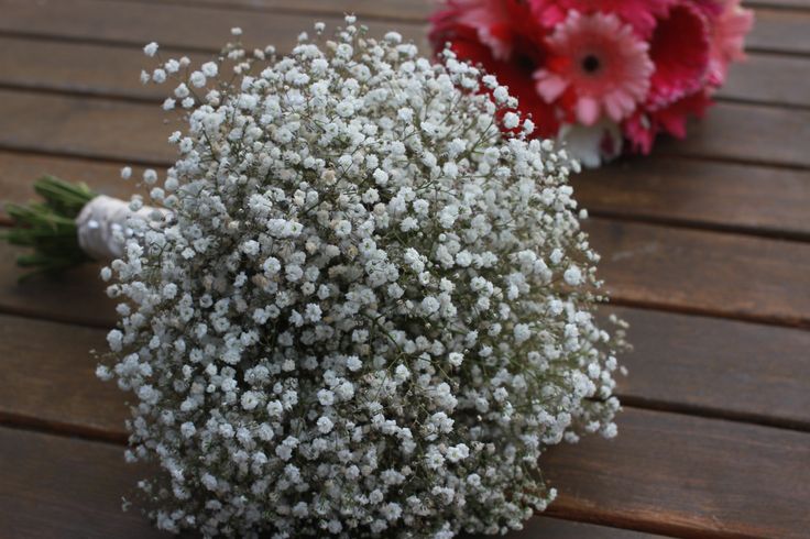 Baby's Breath Bouquet