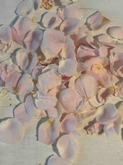 Rose Petals For Ceremony