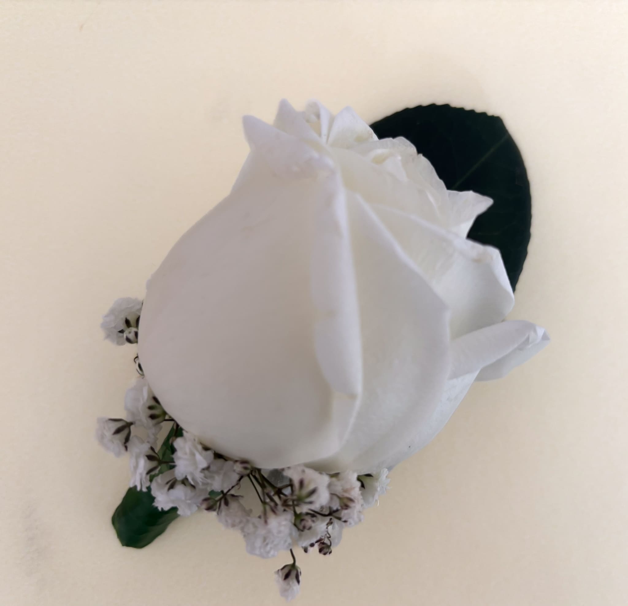 Rose & Baby's Breath Buttonhole