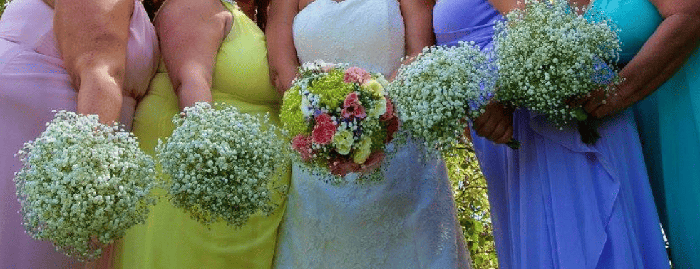 Baby's Breath Bouquet