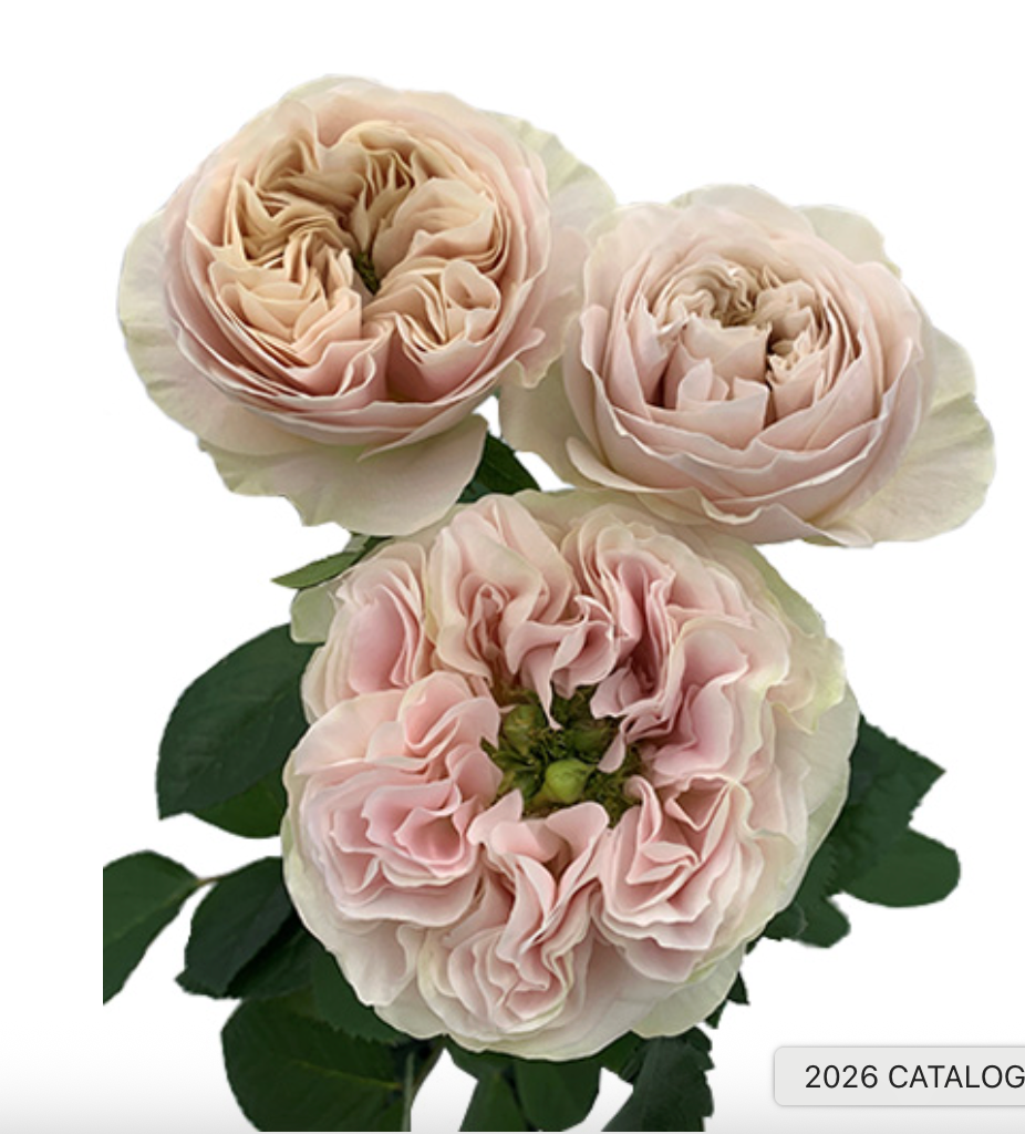 Delightful Summer Bridesmaid Bouquet