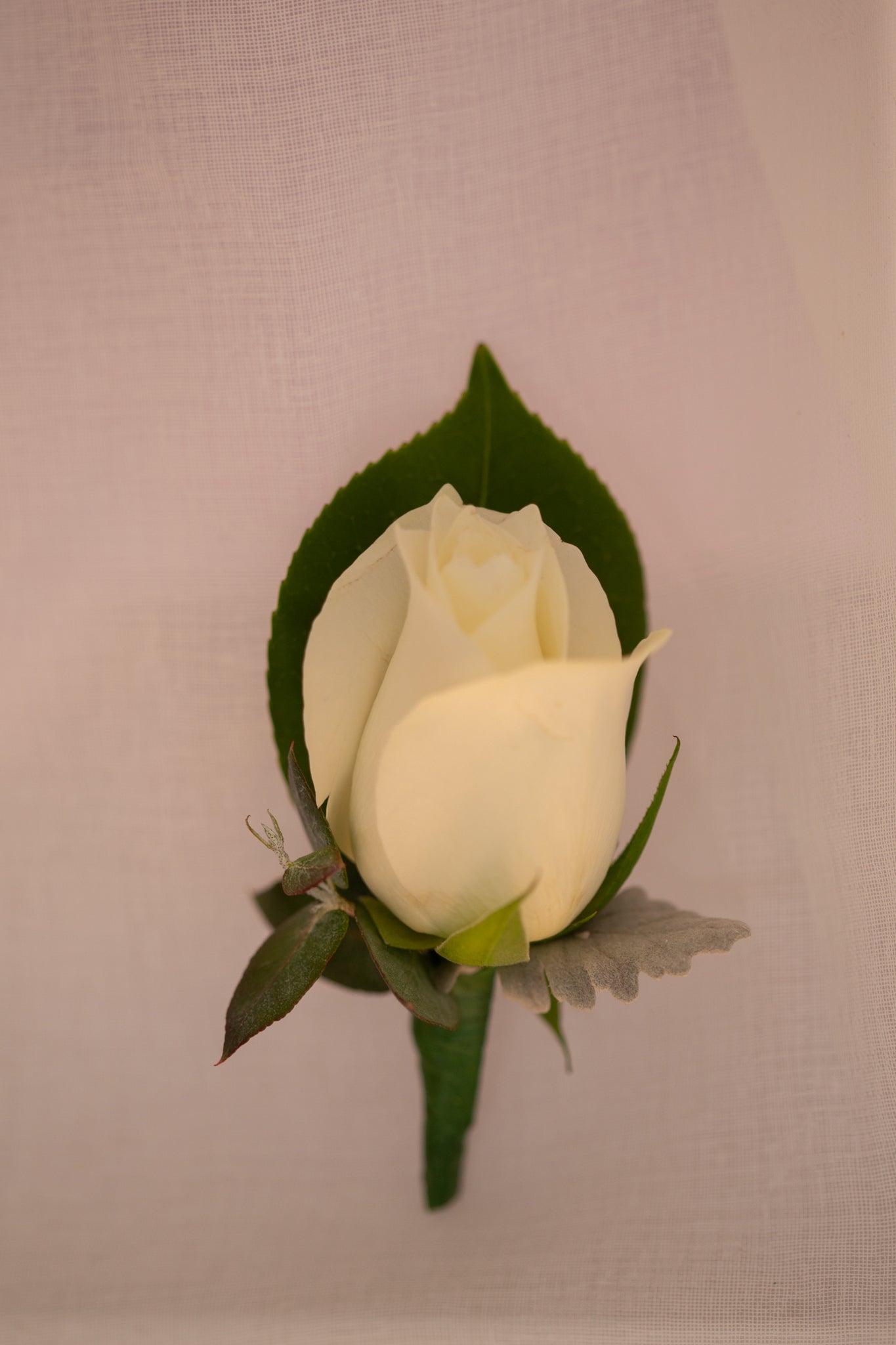 Rose Buttonhole